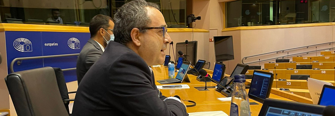 Info session on election observation for MEPs Observers