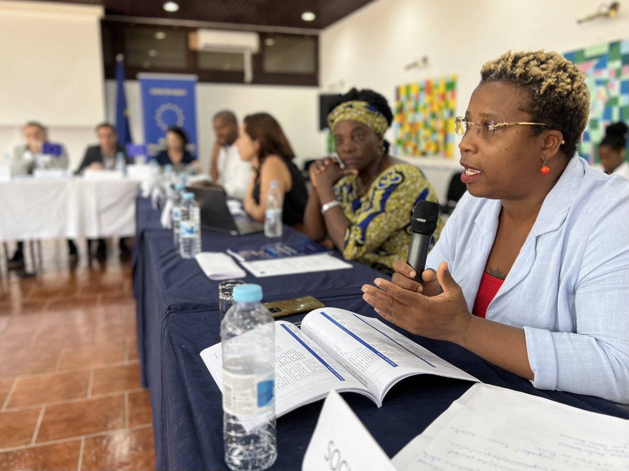 Stories voiced by the EU EOMs local interlocutors:  Learn how EU observers contribute to the integrity of the electoral processes